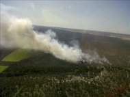 Fotografía facilitada por la Junta de Castilla y León de un incendio en el término municipal de Cuéllar (Segovia). EFE/Archivo