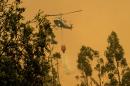 A firefighter helicopter helps try to put out a forest fire in Pumanque, 140 km south of Santiago on January 21, 2017