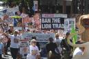 Thousand of protestors march to Parliament to have canned hunting banned as part of a global march for lions in Cape Town on March 15, 2015