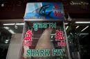 A shark fin is displayed in front of a restaurant in the Chinatown area of Bangkok on March 6, 2013