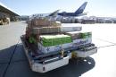 In this Jan. 9, 2014 photo, a load of flowers is rushed to a cooling unit at the Miami International Airport. In the weeks leading up to Valentine's Day, about 738 million flowers come through the airport. (AP Photo/J Pat Carter)