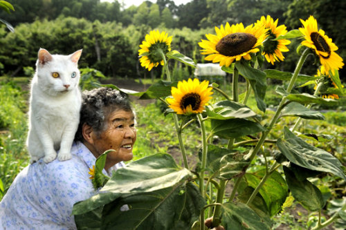 Tình bạn cảm động của bà lão 88 tuổi và mèo Grand9-jpg_035744