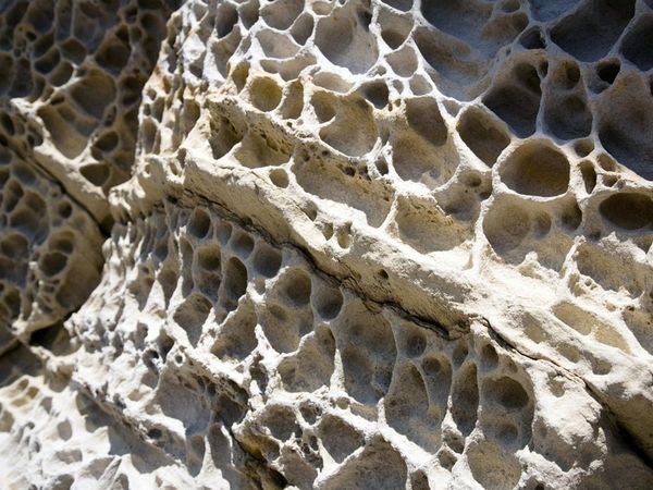 Sedimentary Honeycomb
