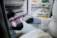 Cientista observa amostras de sangue em um laboratório