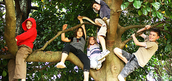 Jarang-Panjat-Pohon-Lemahkan-Kekuatan-Fisik-Anak-Anak