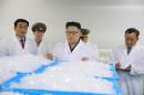 North Korean leader Kim Jong Un gives field guidance during a visit to the Taedonggang Syringe Factory