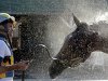 Trainer Rudy Rodriguez watches Kentucky Derby hopeful Vyjack get a bath after a workout at Churchill Downs Tuesday, April 30, 2013, in Louisville, Ky. (AP Photo/Charlie Riedel)