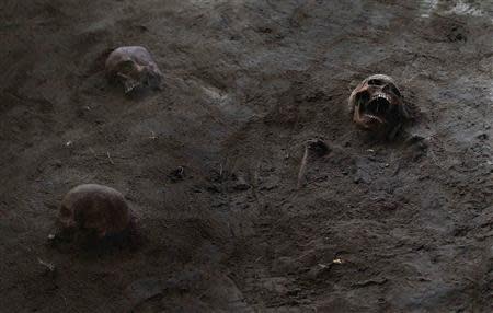 Human skulls are seen at a construction site in the former war zone in Mannar