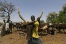 The Wider Image: Herders suffer in fight against Boko Haram