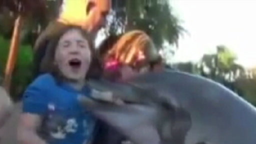Dolphin Bites 8-Year-Old Girl at Sea World