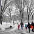 People arrive with their children and toboggans to a snowy Central Park in New York