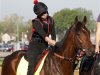 Exercise rider Jenn Patterson gives Kentucky Derby hopeful Orb a pat during morning workouts in Louisville