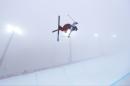 David Wise of the United States jumps during a freestyle skiing training session in the halfpipe at the Rosa Khutor Extreme Park, at the 2014 Winter Olympics, Monday, Feb. 17, 2014, in Krasnaya Polyana, Russia. (AP Photo/Sergei Grits)