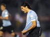 Uruguay's Cavani celebrates after scoring a goal against Ecuador in their 2014 World Cup qualifying soccer match in Montevideo