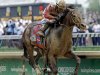 Joel Rosario rides Orb during the 139th Kentucky Derby at Churchill Downs Saturday, May 4, 2013, in Louisville, Ky. (AP Photo/J. David Ake)