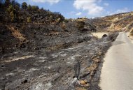 Vista de la zona afectada por un incendio en el municipio de Bedar (Almeria) que ha obligado al desalojo de medio centenar de personas. EFE