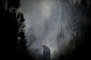 A firefighter walks in a forest after a wildfire in Paredes near Oliveira de Frades, central Portugal, August 27, 2013