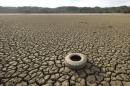 A tire rests on the dry bed of Lake Mendocino, a key Mendocino County reservoir, in Ukiah