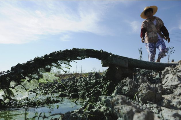 A woman looks at algae pumped into a treatment reservoir at Chaohu Lake in Hefei