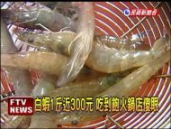 白蝦1斤近300元 中秋節吃烤蝦貴