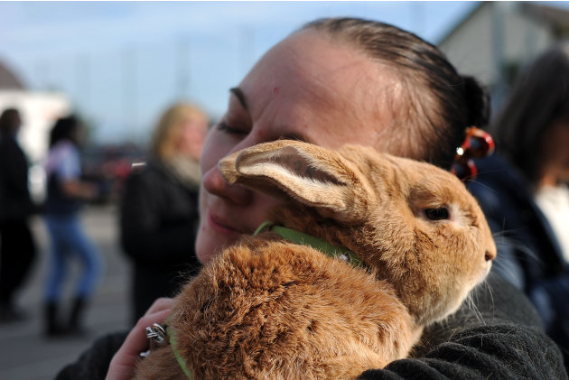 First European Rabbit Hopping Championships