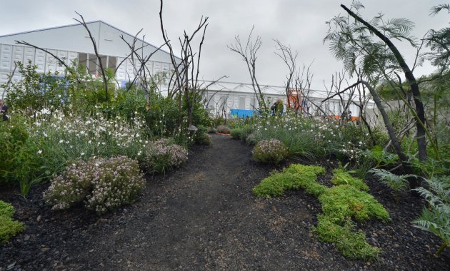 RHS Chelsea Flower Show