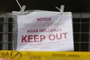 Police tape and warning signs are seen outside a duck farm in Nafferton, northern England
