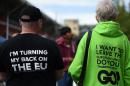 Campaigners wear shirts with the slogans "I'm Turning My Back On The EU", and "I Want To Leave the European Union, Do You?", in Birmingham, central England on May 31, 2016