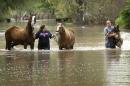 Rhonda Burnett walks her horses through flood waters while Lee Hays helps a neighbor's dog in Garfield, Texas, Saturday Oct. 31, 2015. Another band of strong storms and heavy rain spawned three tornadoes and dangerous flooding in east Texas. (AP Photo/Austin American-Statesman, Jay Janner) /Austin American-Statesman via AP) AUSTIN CHRONICLE OUT, COMMUNITY IMPACT OUT, INTERNET AND TV MUST CREDIT PHOTOGRAPHER AND STATESMAN.COM, MAGS OUT; MANDATORY CREDIT MBO