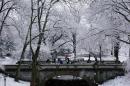 A horse carriage crosses a bridge in Manhattan's Central Park during a snowfall