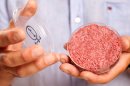 Cultured Beef: Do We Really Need a $380,000 Burger Grown in Petri Dishes?