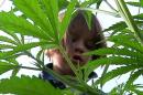Medical Marijuana and Kids, a New Frontier