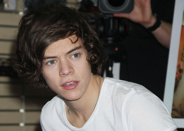 Harry Styles had spent the night partying with Emma Ostilly and another 