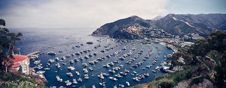 Catalina Island (photo courtesy of Ipotatol via Flickr)