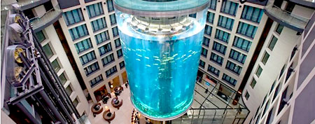 The elevator at the AquaDom in Berlin travels up the middle of the 82-foot tall aquarium. (Caro/Alamy)