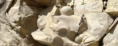 صورة غير مؤرخة لبيض ديناصورات اكتشف في الشيشان (AFP)