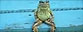 Sitting frog goes viral (Screen)