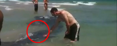 Una inquietante aparición en una playa de Florida. (Captura de video en YouTube)