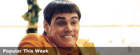 Jim Carrey in 'Dumb & Dumber'  (New Line Cinema/Courtesy Everett Collection)