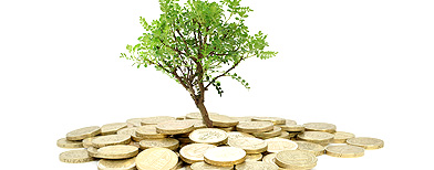 Tree with money at its base (FOTOLIA)