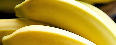 A generic bunch of bananas (FOTOLIA)