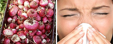 Turnips /A sneezing woman (Fotolia)