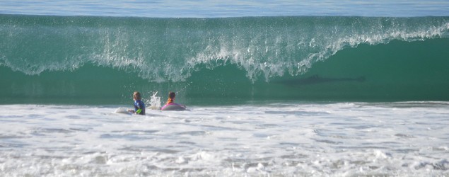 shark-lurking-jpg_635x250_1388355879.jpg