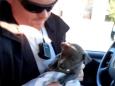 Frozen puppy rescued from river adopted by police officer