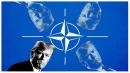 Who Needs NATO?
