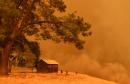 Firefighters battle major wildfires in California