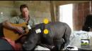 Il joue une berceuse à la guitare pour un bébé rhinocéros
