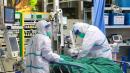 Tom Cotton Claims Coronavirus Epidemic ‘Much Worse’ than China Admits