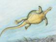 Ancient Fossil of Happy Shell-Free Turtle Solves an Evolutionary Mystery