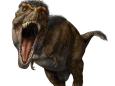 The T. Rex had the strongest bite of any land animal ever — and new research shows the dinosaur really could crush a car